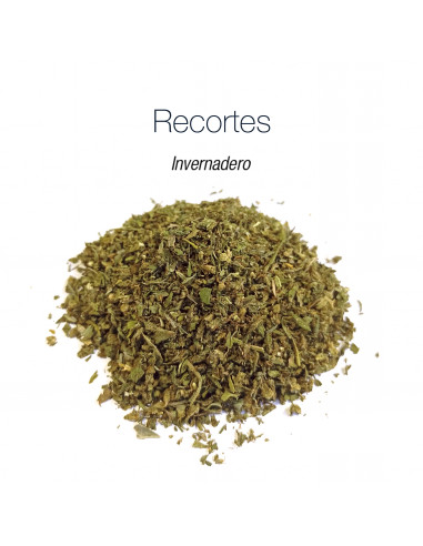 Recortes (Quality Trim) - cogollo CBD