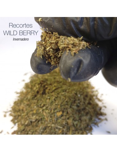 Recortes WILD BERRY - Invernadero