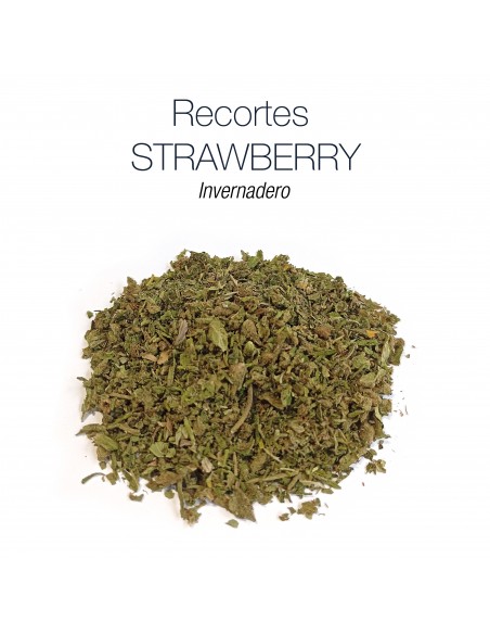 Recortes STRAWBERRY - Invernadero