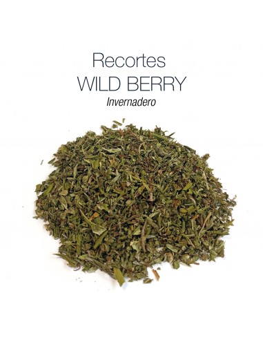 Recortes WILD BERRY - Invernadero