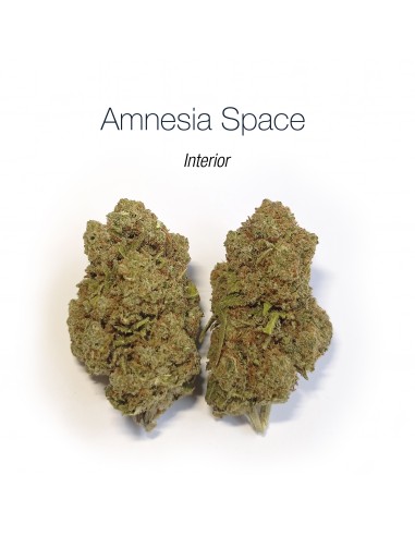 AMNESIA SPACE - Interior