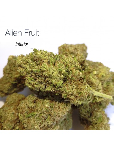 ALIEN FRUIT 9.07% CBD - Interior