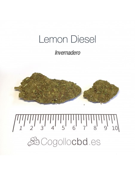 LEMON DIESEL - Invernadero