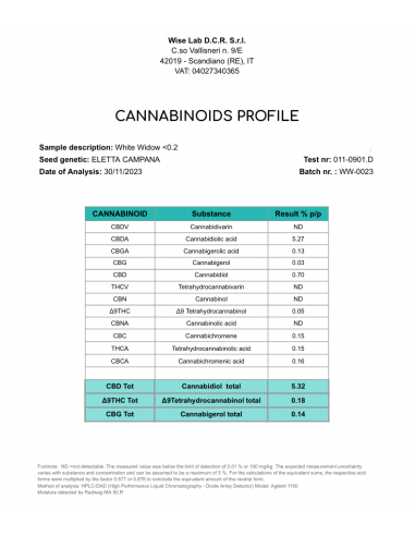 Mini Flores WHITE WIDOW - Exterior