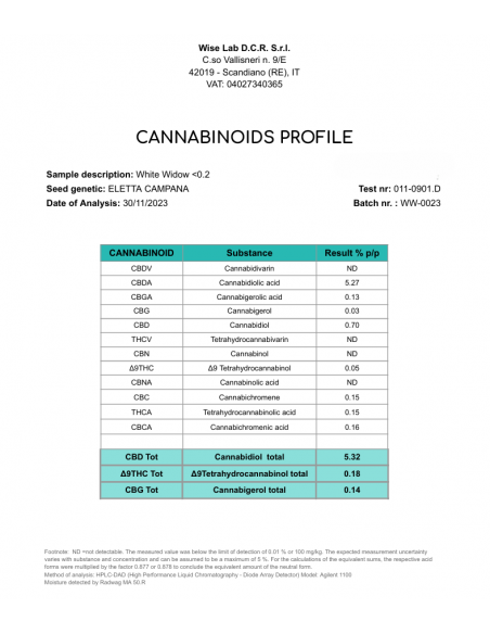Mini Flores WHITE WIDOW - Exterior
