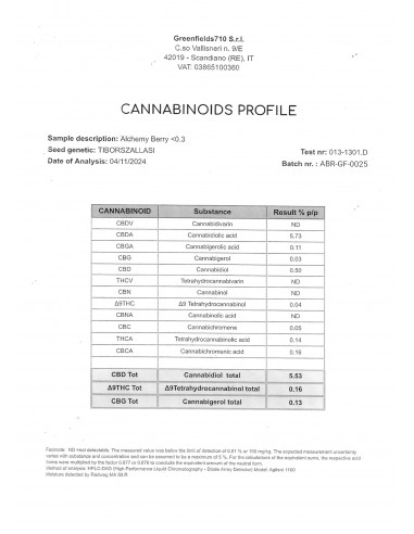 Mini Flores WILD BERRY - Exterior