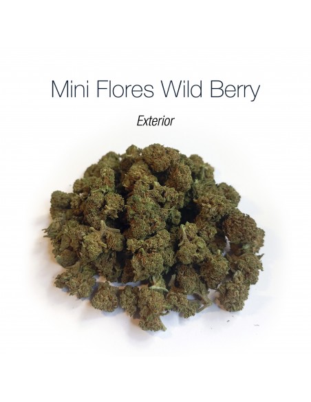 Mini Flores WILD BERRY - Exterior
