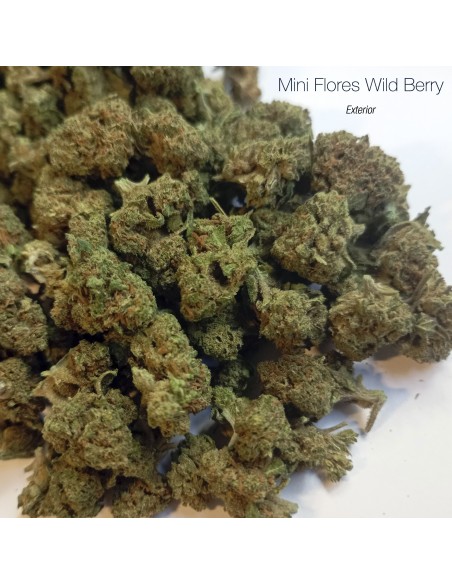 Mini Flores WILD BERRY - Exterior
