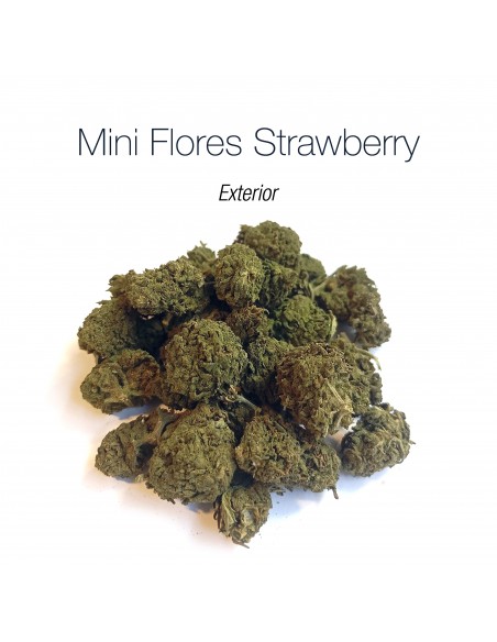 Mini Flores STRAWBERRY - Exterior