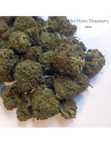 Mini Flores STRAWBERRY - Exterior