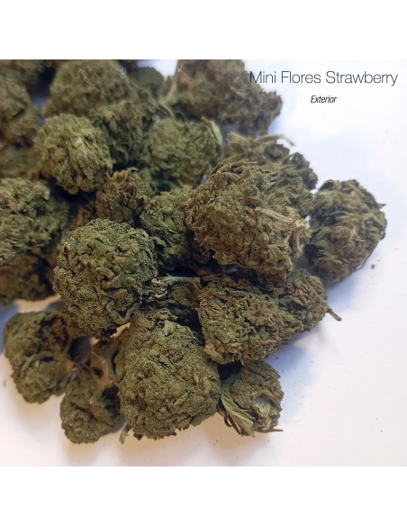 Mini Flores STRAWBERRY - Exterior