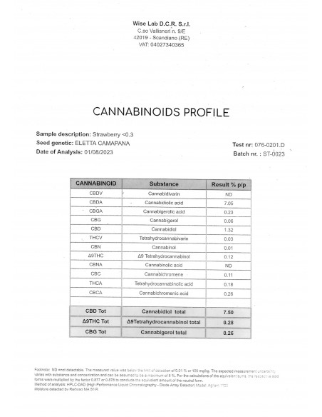 Mini Flores STRAWBERRY - Exterior