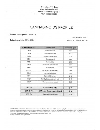 Mini Flores LEMON POP - Exterior