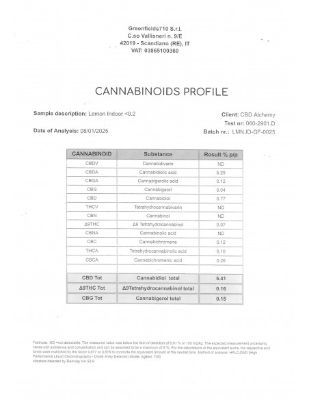LEMON BUD 5.4% CBD - Interior