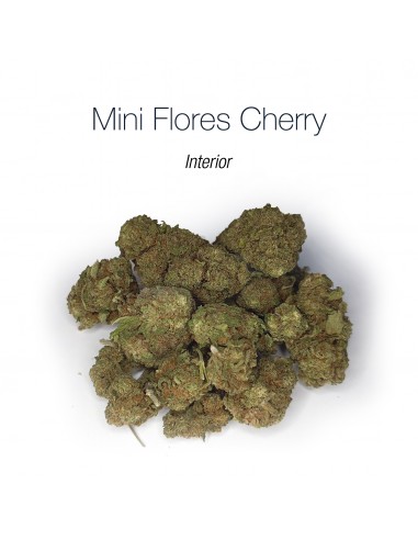 Mini Flores CHERRY - Interior