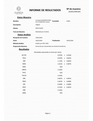FROZEN CREAM 8% CBD - Interior