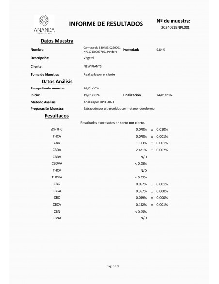 FROZEN CREAM 8% CBD - Interior