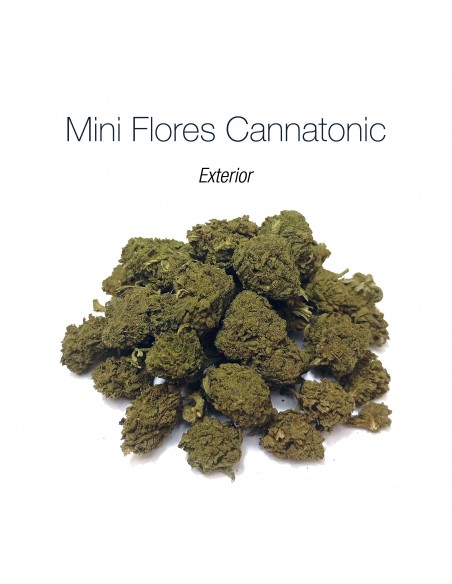 Mini Flores CANNATONIC - Exterior