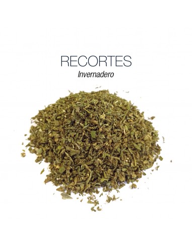 RECORTES CANNATONIC (Trimm) - Invernadero