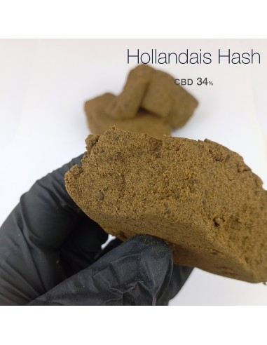 HOLLANDAIS Hash 34% CBD