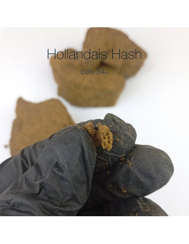 HOLLANDAIS Hash 34% CBD