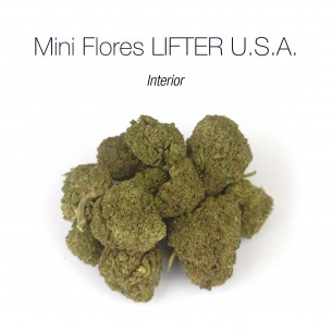 Mini Flores LIFTER U.S.A. 9.64% CBD - Interior