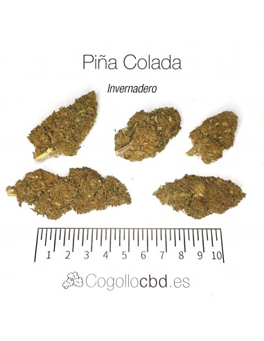 PIÑA COLADA - MEGA OFERTA !!!