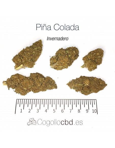 PIÑA COLADA - MEGA OFERTA !!!