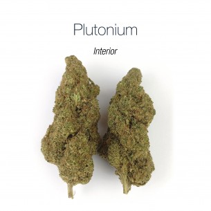 PLUTONIUM 7.6% CBD - Interior