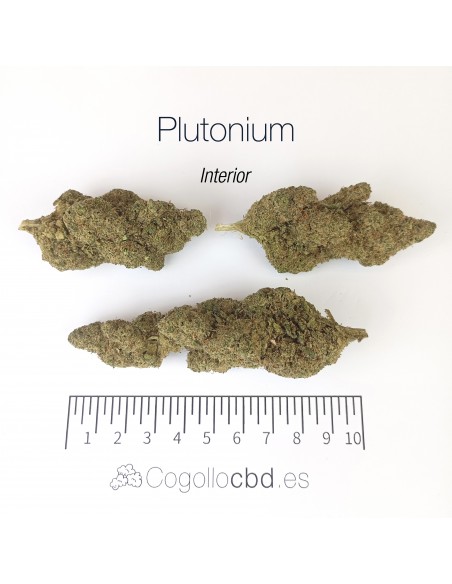 PLUTONIUM 7.6% CBD - Interior