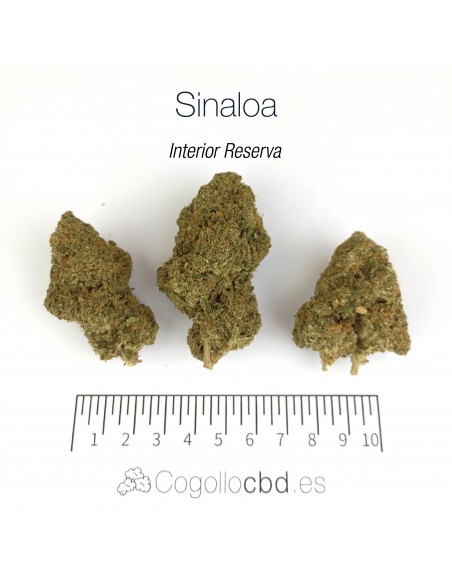 SINALOA 10.87% CBD - Interior Reserva