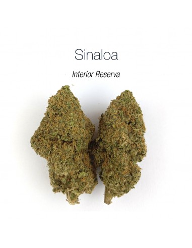 SINALOA 10.87% CBD - Interior Reserva