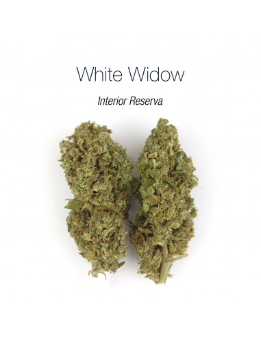 WHITE WIDOW 7.93% CBD - Interior Reserva