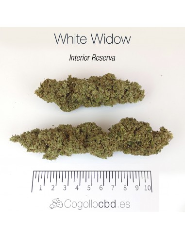 WHITE WIDOW 7.93% CBD - Interior Reserva