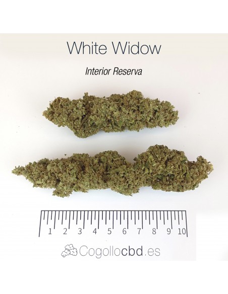 WHITE WIDOW 7.93% CBD - Interior Reserva