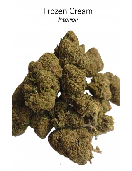 FROZEN CREAM 8% CBD - Interior
