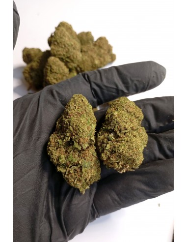 FROZEN CREAM 8% CBD - Interior