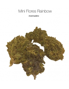 Mini Flores RAINBOW 7.23% CBD - Invernadero