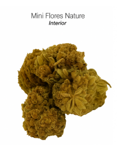 MINI FLORES NATURE 3,8% CBD – INTERIOR