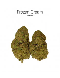 FROZEN CREAM 8% CBD - Interior