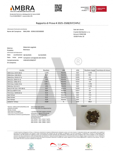 LIME PURPLE 7,79% CBD - Glass House
