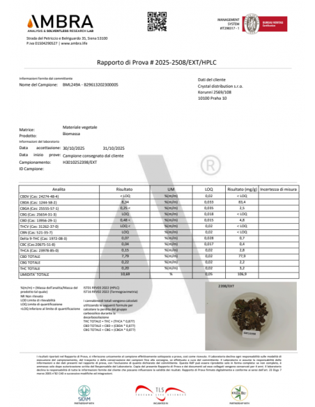 LIME PURPLE 7,79% CBD - Glass House