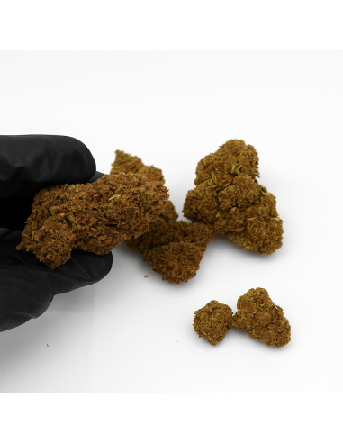 LIME PURPLE 7,79% CBD - Glass House