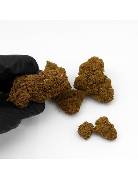 LIME PURPLE 7,79% CBD - Glass House