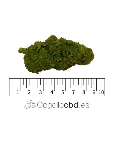 ORANGE LOVE 7.46% CBD - Invernadero