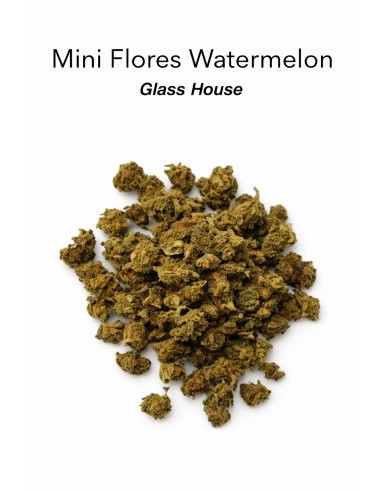 Mini Flores WATERMELON 7.41% CBD - Glass House