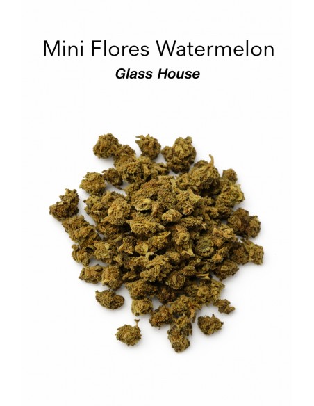Mini Flores WATERMELON 7.41% CBD - Glass House