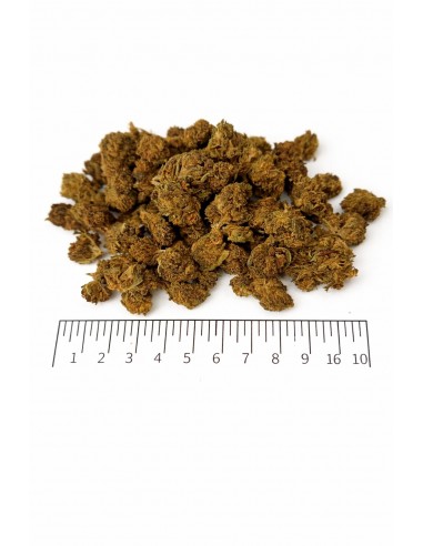 Mini Flores WATERMELON 7.41% CBD - Glass House