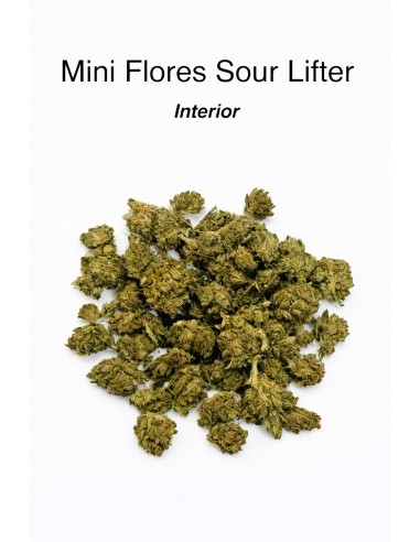 Mini Flores Sour Lifter 12,17% CBD - Interior