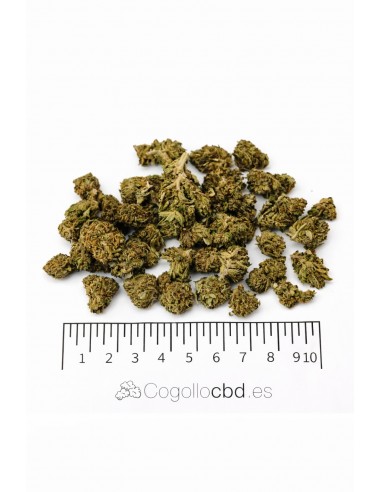 Mini Flores Sour Lifter 12,17% CBD - Interior